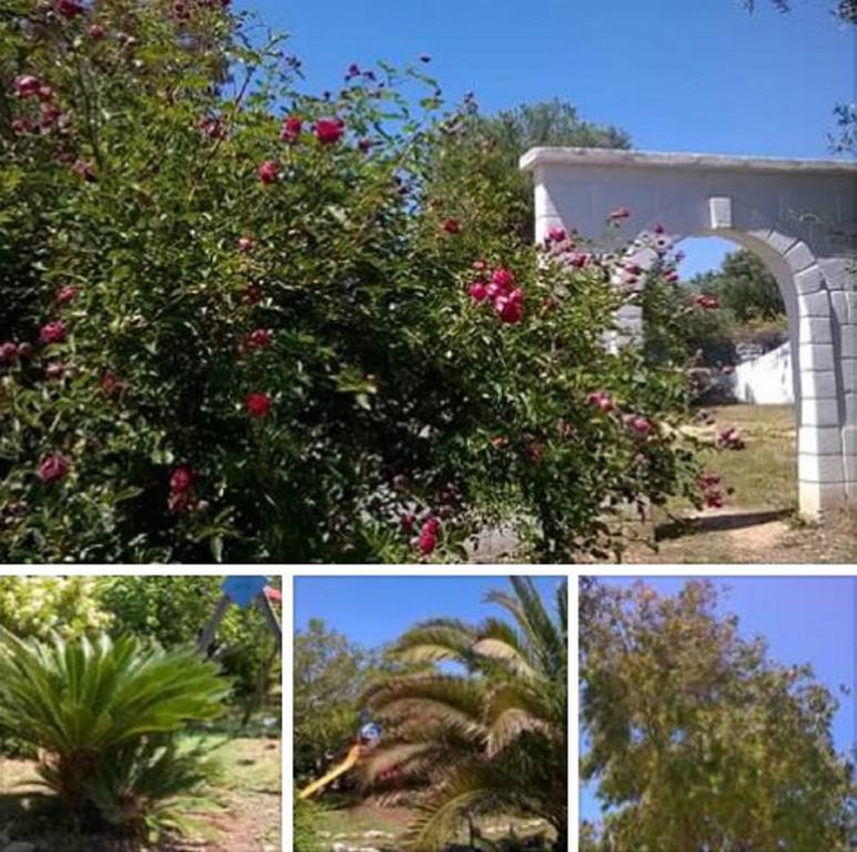 Trulli Aurasia Ostuni Ngoại thất bức ảnh