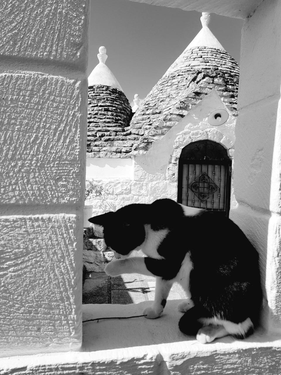 Trulli Aurasia Ostuni Ngoại thất bức ảnh