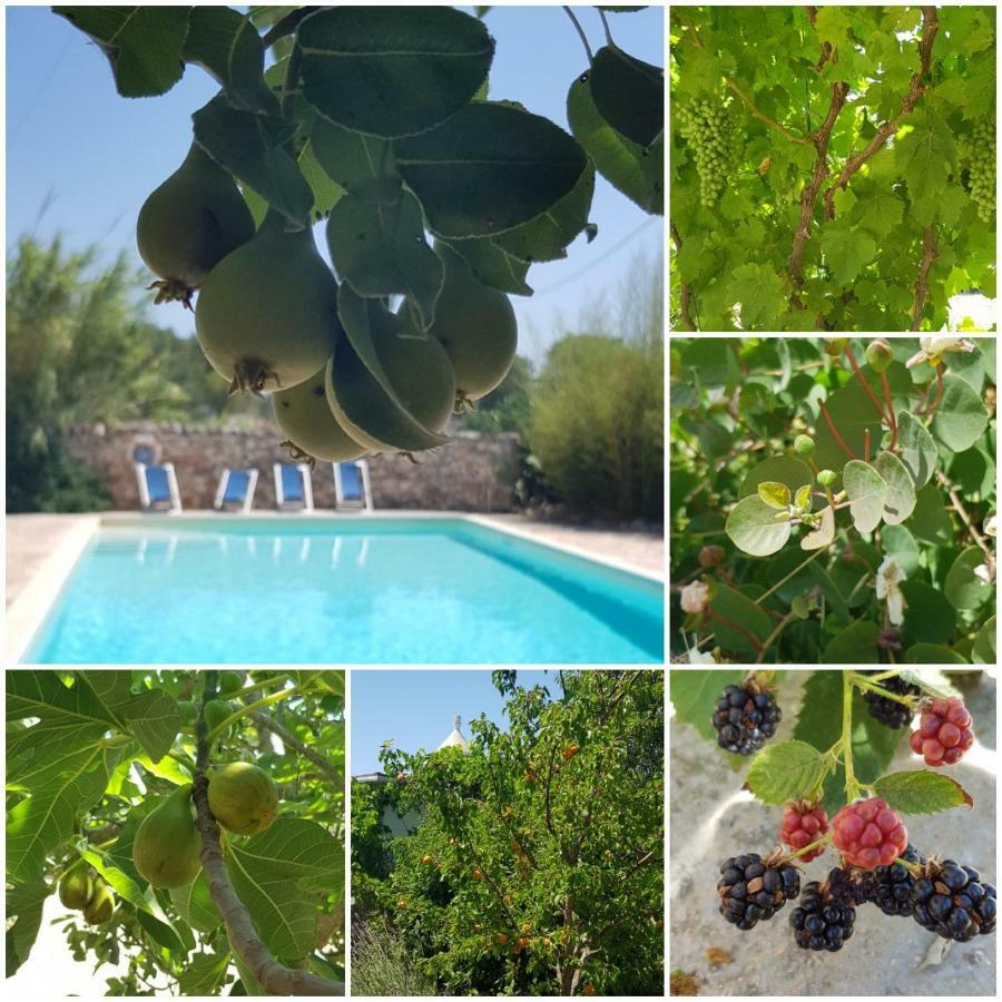 Trulli Aurasia Ostuni Ngoại thất bức ảnh